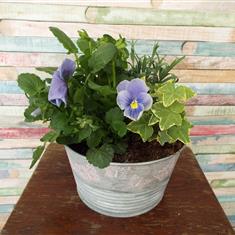 Planted Zinc Bowl