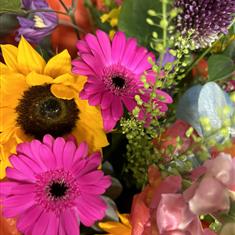 Our Watton Subscription